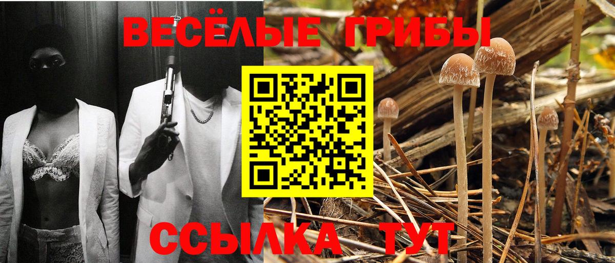 Псилоцибиновые грибы GOLDEN TEACHER Сухой Лог
