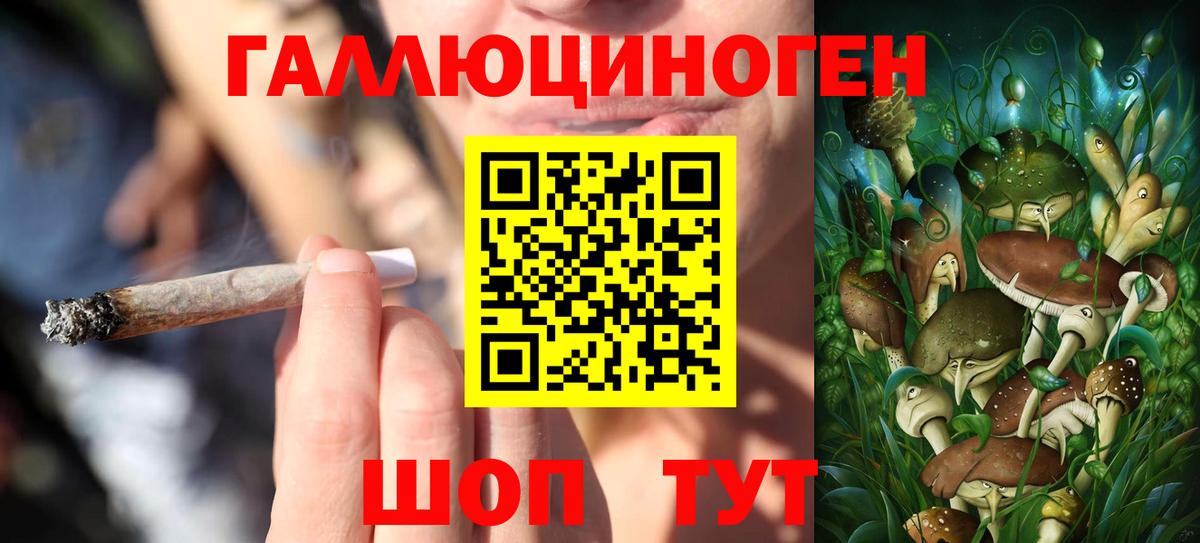 Сухой Лог  Галлюциногенные грибы GOLDEN TEACHER  Псилоцибиновые грибы ЛСД  закладки  Вход с VPN 