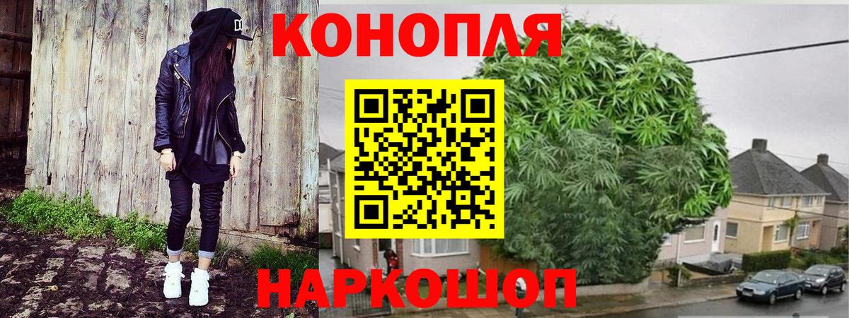 Марихуана Bruce Banner Сухой Лог